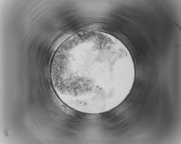 X0000103901434200810171603