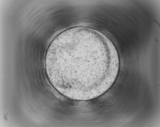 X0000103901436200810171603