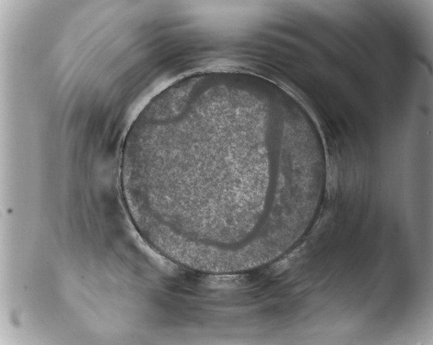 X0000103901437200810171603