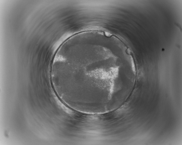 X0000103901438200810171603