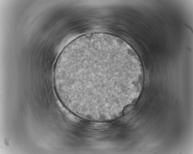 X0000103901439200810171603