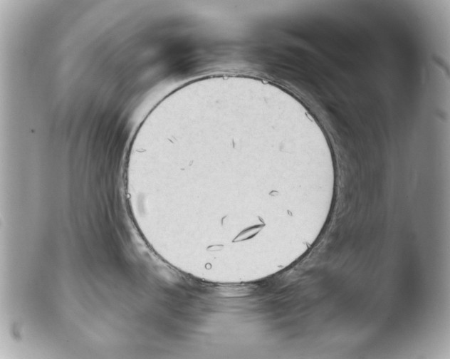 X0000103901440200810171603