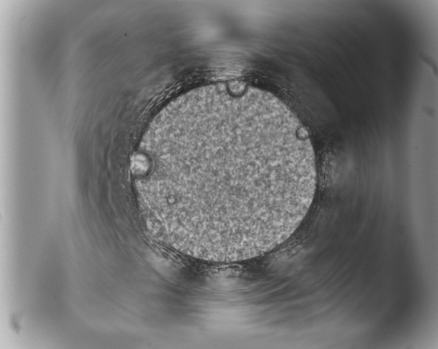 X0000103901441200810171602