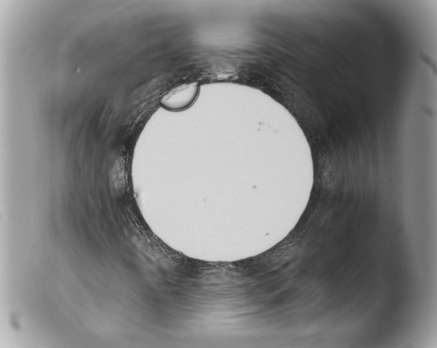 X0000103901442200810171602