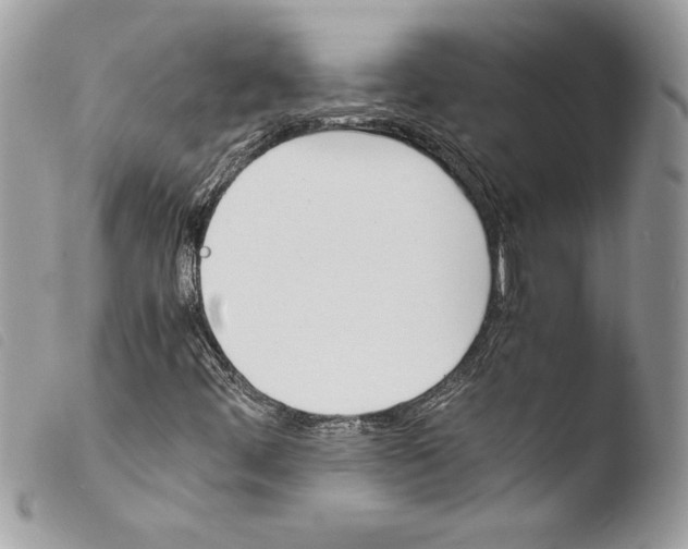 X0000103901444200810171602