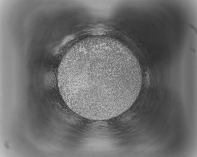 X0000103901446200810171602