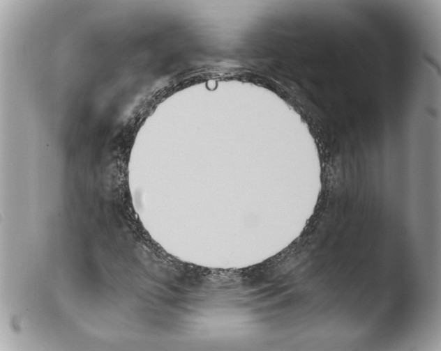 X0000103901447200810171602