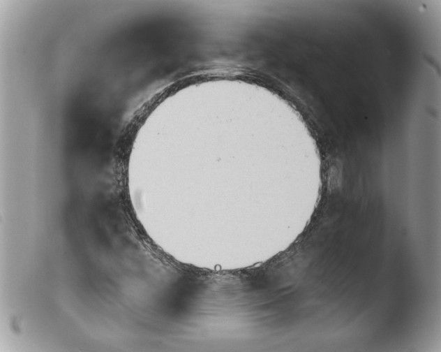 X0000103901448200810171602