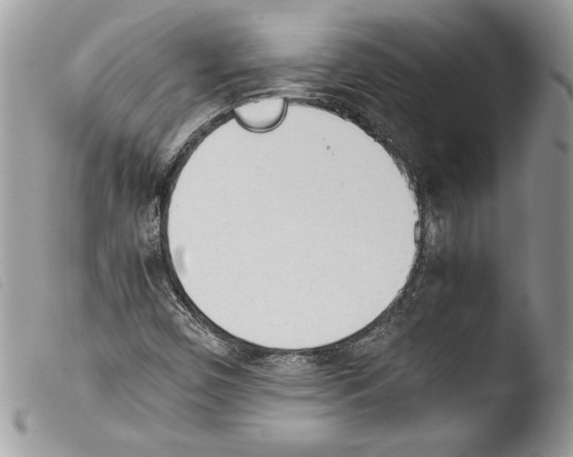 X0000103901450200810171602