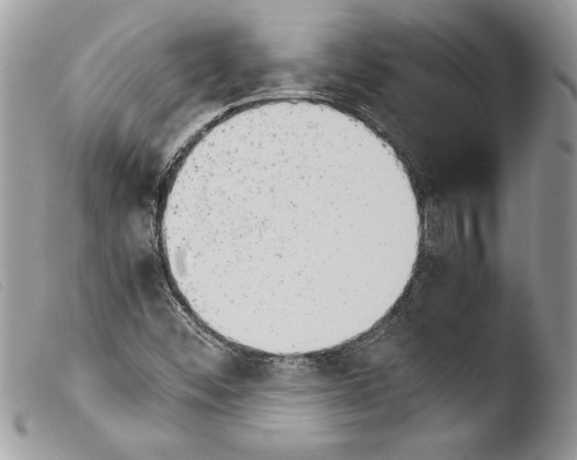 X0000103901452200810171602