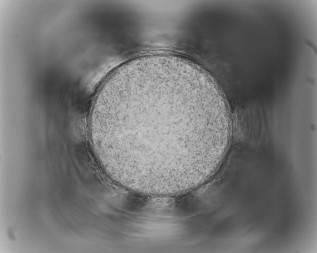 X0000103901453200810171602