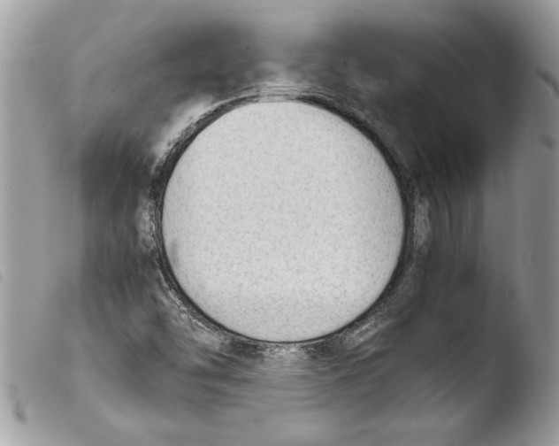 X0000103901454200810171602