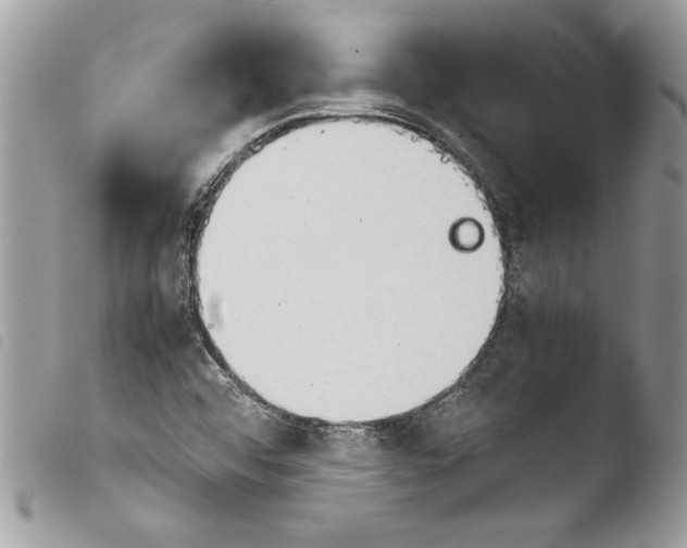 X0000103901456200810171602