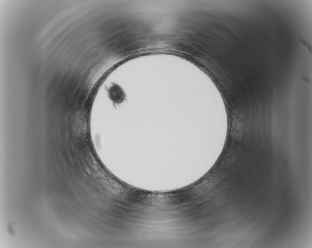 X0000103901458200810171602