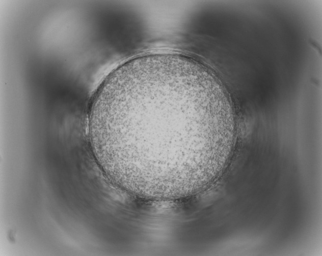 X0000103901461200810171602