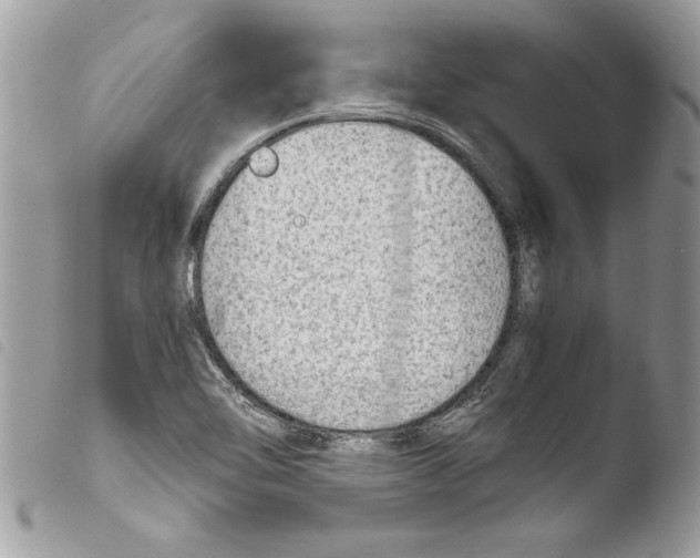 X0000103901462200810171602