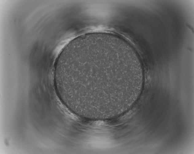 X0000103901463200810171602