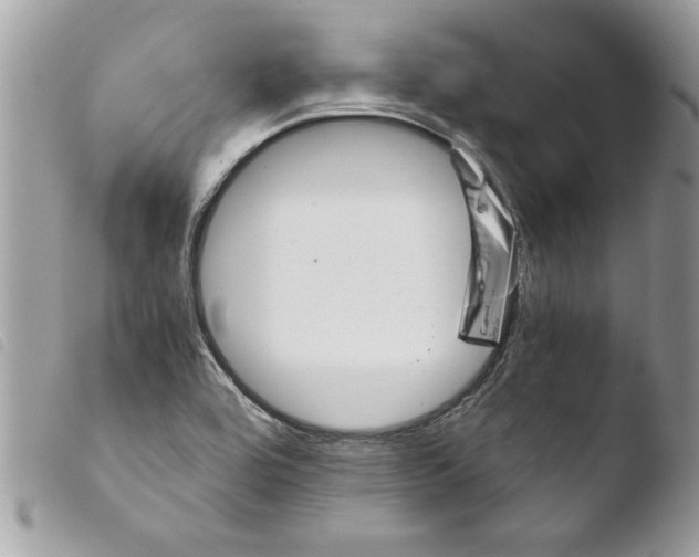 X0000103901464200810171602