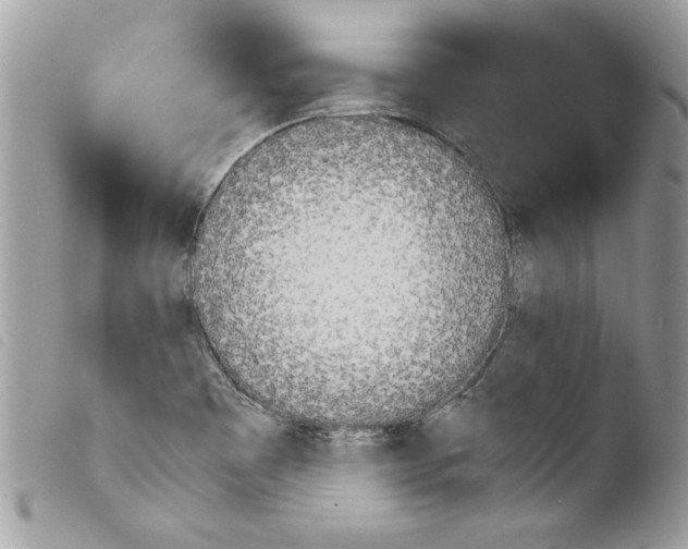 X0000103901465200810171602