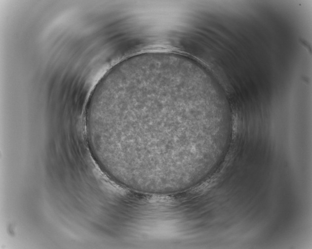 X0000103901466200810171602