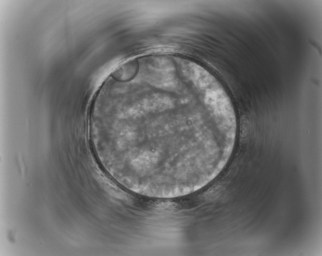 X0000103901467200810171602