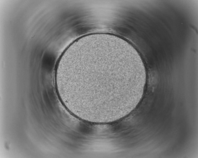 X0000103901468200810171602