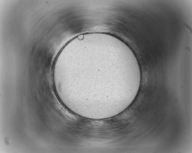 X0000103901470200810171602