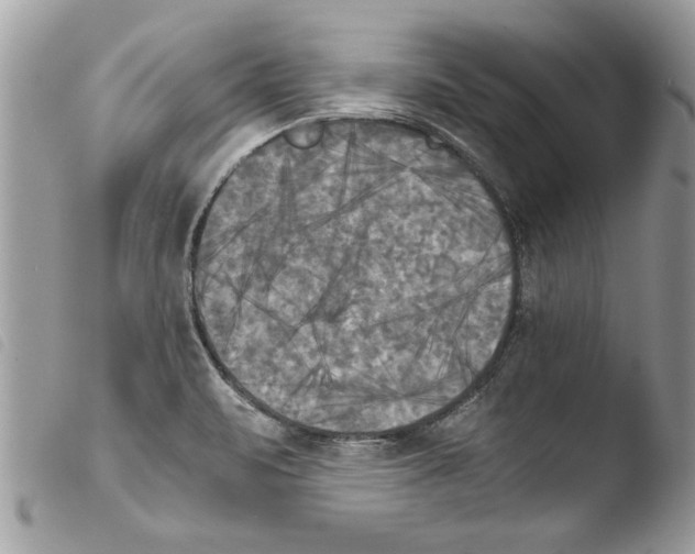 X0000103901471200810171602