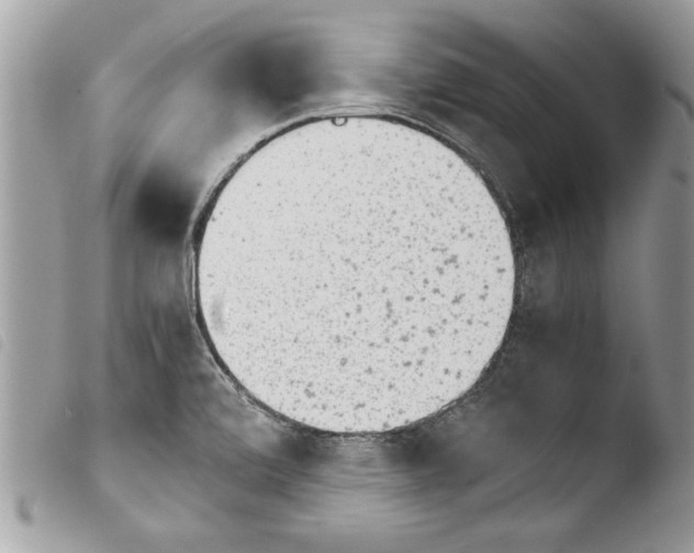 X0000103901472200810171602