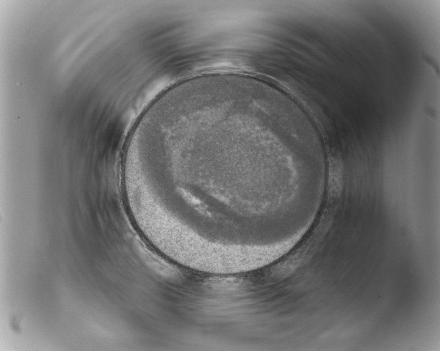 X0000103901474200810171602