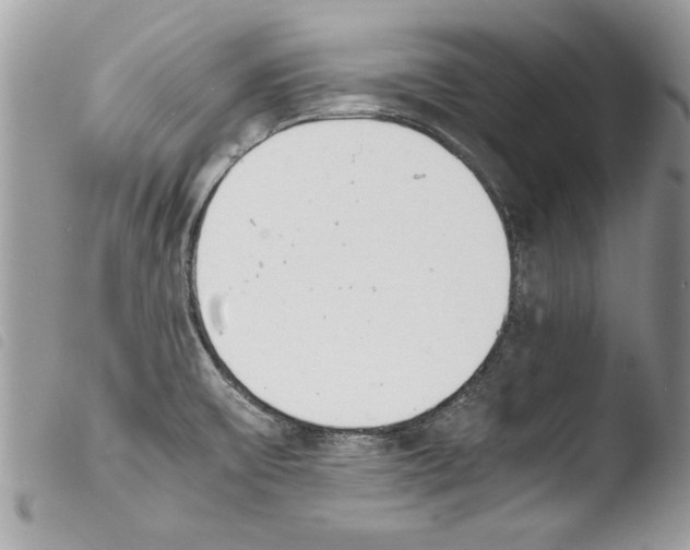 X0000103901475200810171602