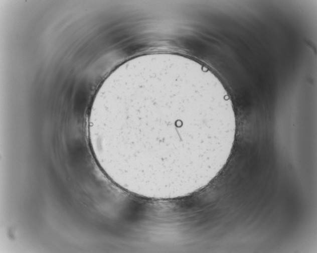 X0000103901476200810171602