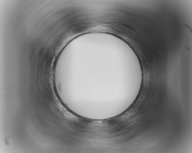 X0000103901478200810171602