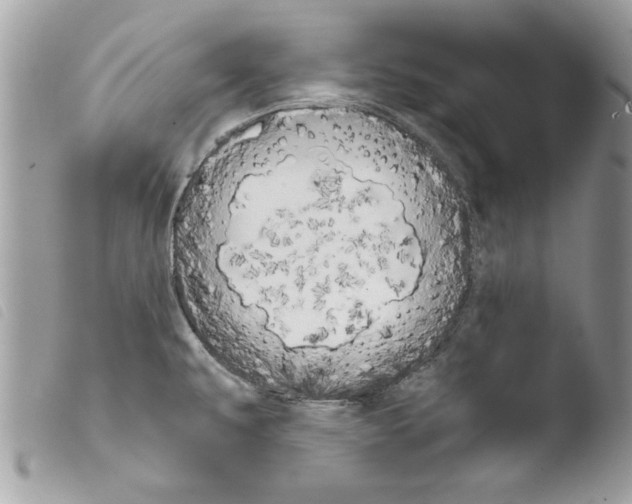 X0000103901479200810171602