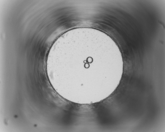 X0000103901480200810171602