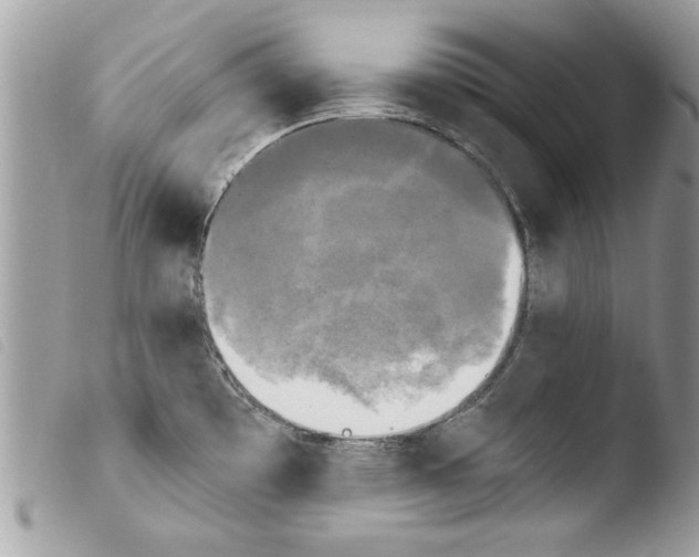 X0000103901481200810171602