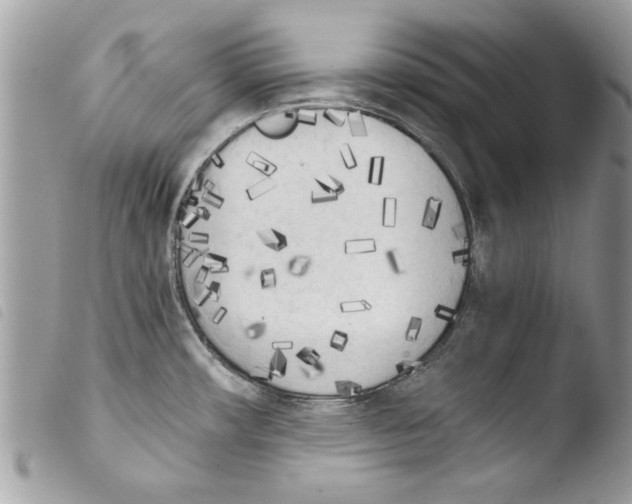 X0000103901482200810171602