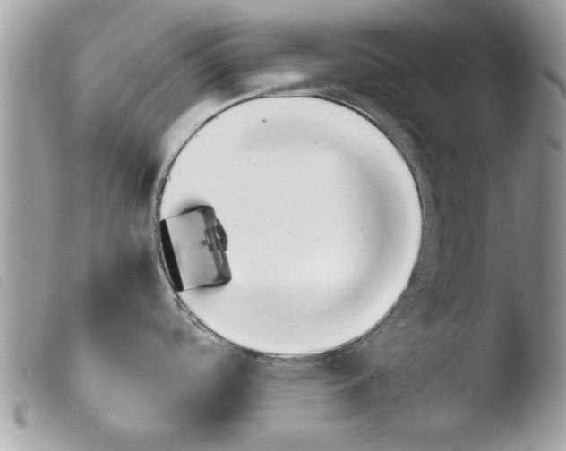 X0000103901488200810171602