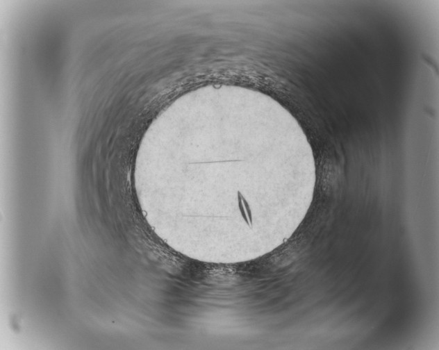 X0000103901489200810171601