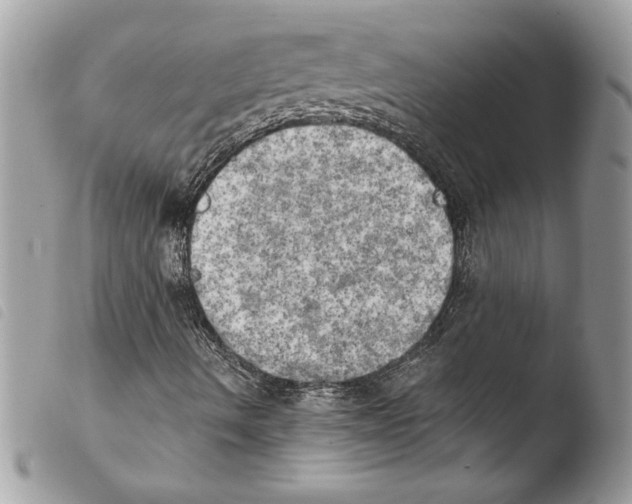 X0000103901490200810171601