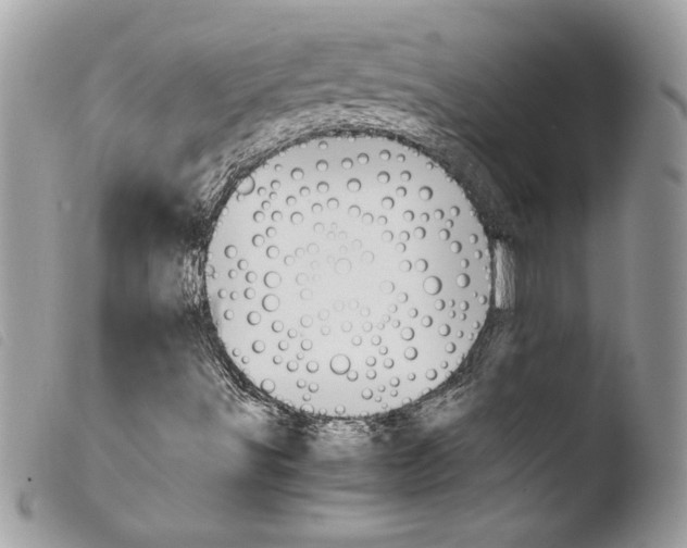 X0000103901491200810171601