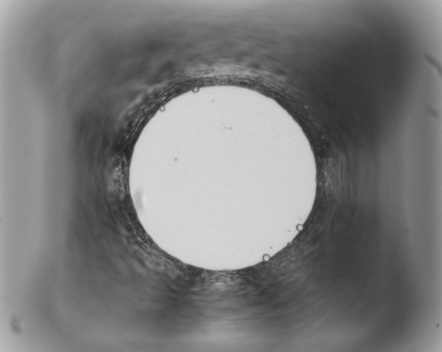 X0000103901493200810171601