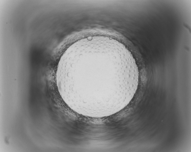 X0000103901495200810171601