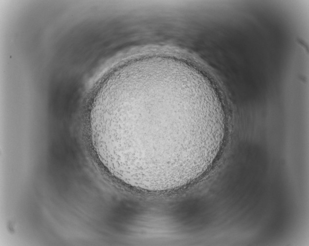 X0000103901496200810171601