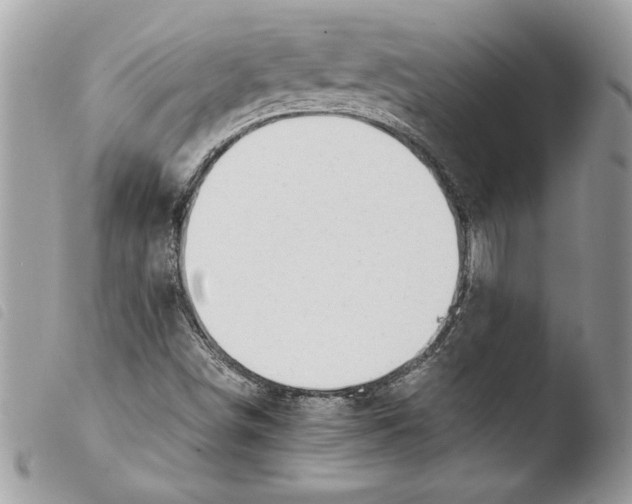 X0000103901498200810171601