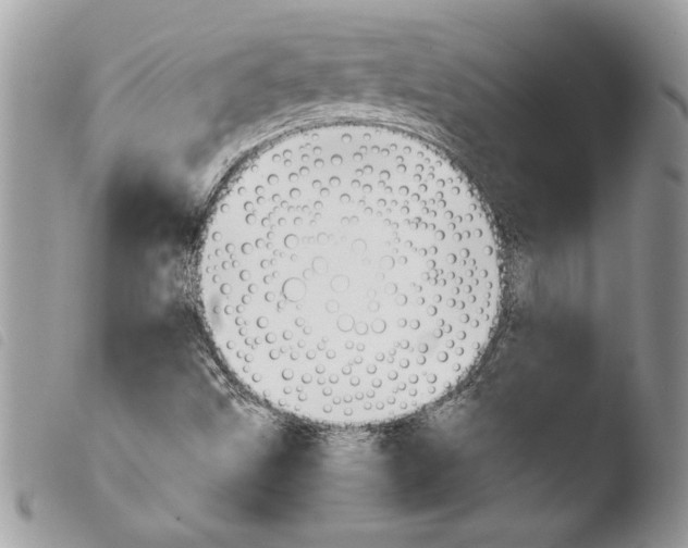 X0000103901499200810171601