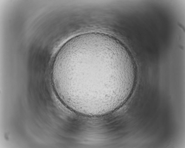 X0000103901500200810171601