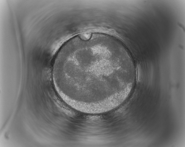 X0000103901501200810171601