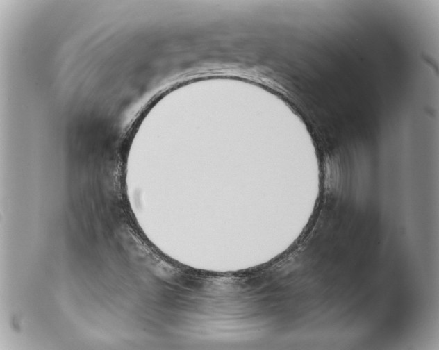 X0000103901502200810171601