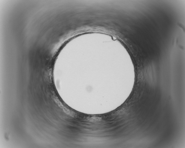 X0000103901503200810171601